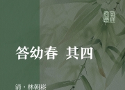 关于疑问：四只梧桐树错综复杂，玄机究竟何在？的信息