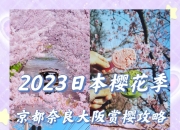 大阪樱花历经坎坷，将迎战亚冠强敌！的简单介绍