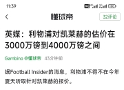 马奎尔攻破利物浦大门，马竞遗憾出局的简单介绍