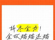 角逐中的双方拼尽全力，难分伯仲的简单介绍