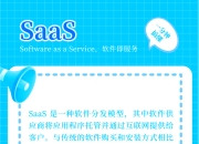 saasoa区别 saas 和 paas 