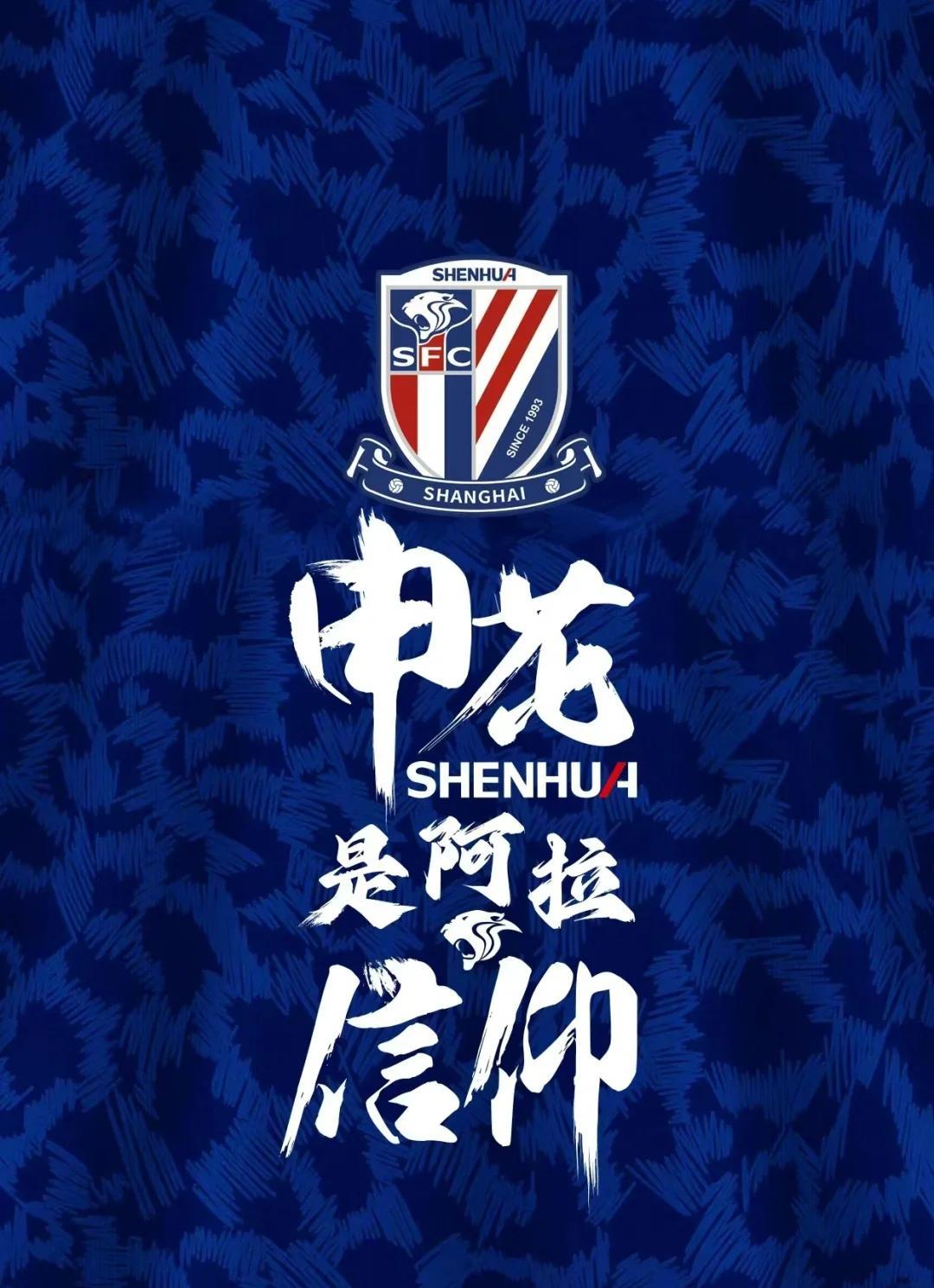 申花击败申鑫—客场战胜对手稳扎稳打取得胜利的简单介绍