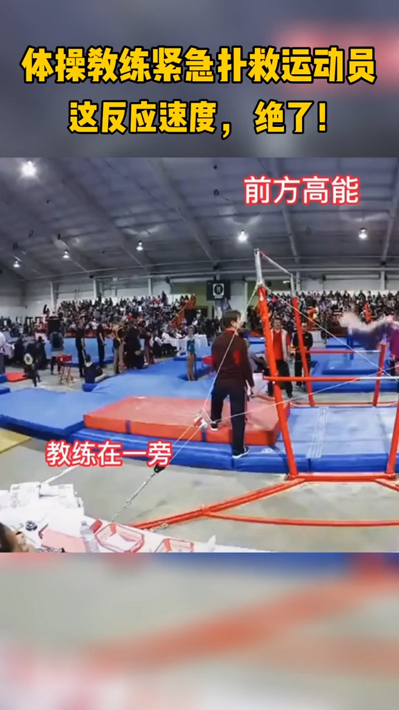 包含热门球队遭遇意外失利，教练紧急应对的词条
