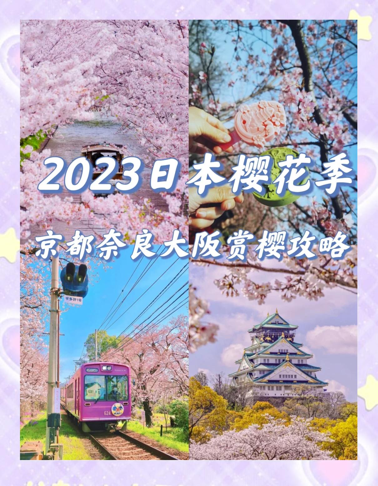 大阪樱花历经坎坷，将迎战亚冠强敌！的简单介绍